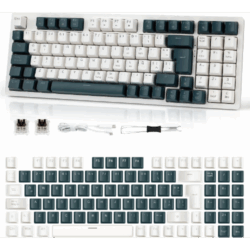 Terport Teclado Mecánico Español de 95 Teclas